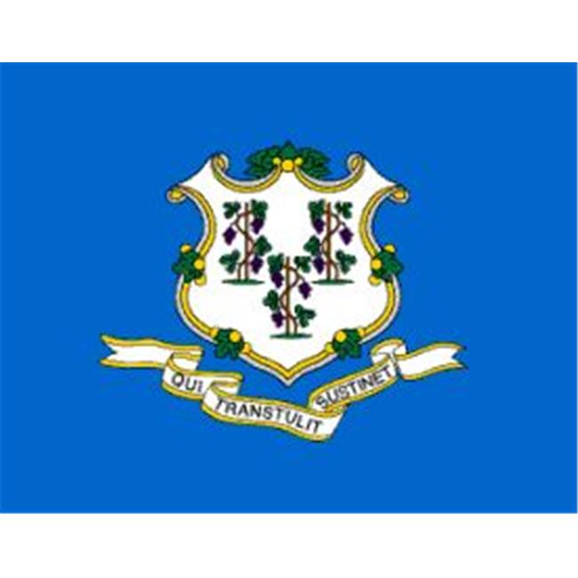 Original Connecticut Flagge Von Annin Flagmakers – Nylon SolarGuard, 100 % Made In USA, 150x90 Cm