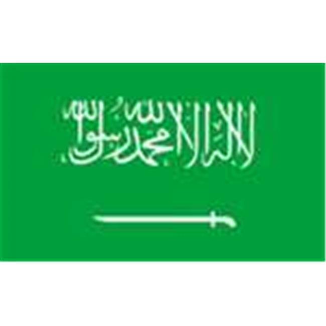 Annin Flagmakers Saudi-Arabien Flagge – Nyl-Glo SolarGuard, 0,6 X 0,9 M, Wetterfest, Made In USA