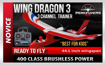 Parkflyers Wing Dragon III RTF RC Plane 22081