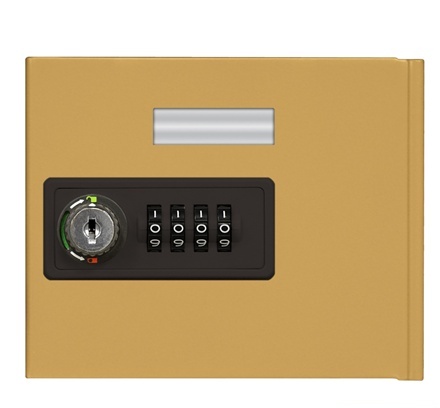 Salsbury 19951C-GLD Replacement Door With Resettable Combination Lock Standard A Size - For Cell Phone Locker - Gold