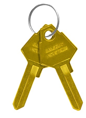 Picture of Salsbury 2099 Key Blanks Standard Lock Brass Mailbox 50