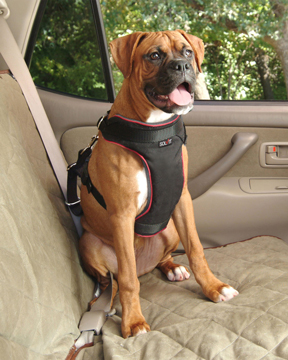 Picture of Solvit Products 62406 Deluxe Car Safety Harness- Large