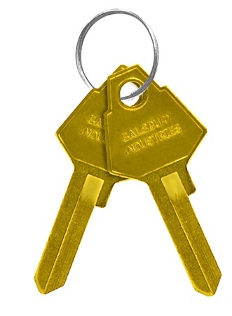 Picture of Salsbury 77729 Key Blanks û For Key Padlocks