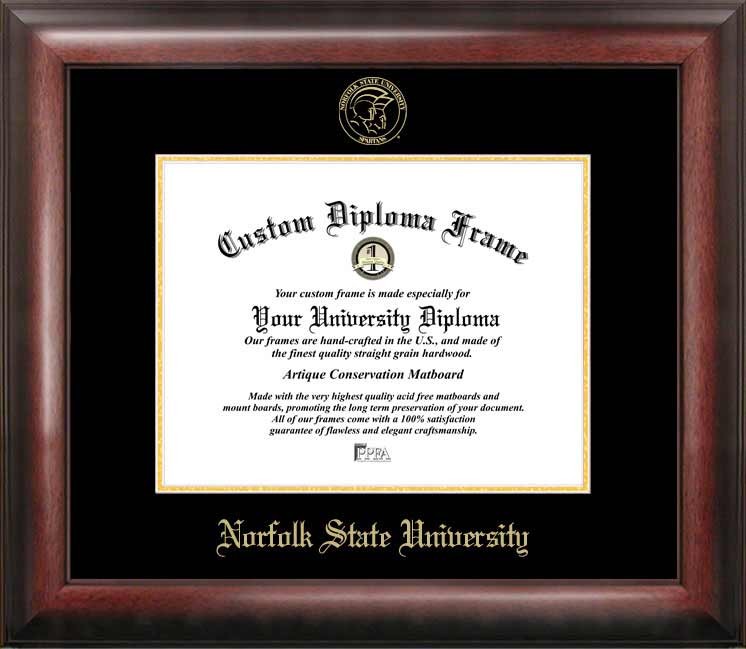 Norfolk State Gold Embossed Diploma Frame