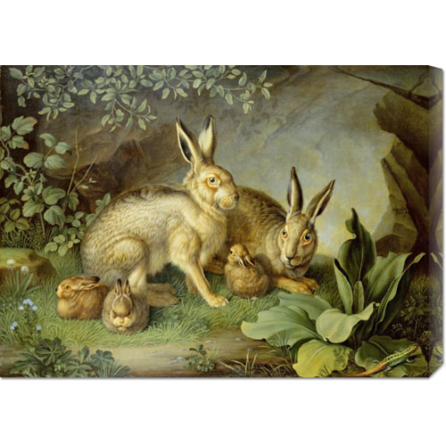 Picture of Bentley Global Arts dba American Walls GCS-267009-30-142 Johann Wenzel Peter &apos;Hares and Leverets In a Rocky Lair&apos; Stretched Canvas