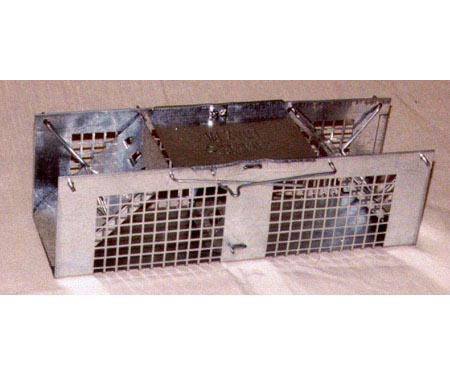 3 in. W x 10 in. L x 3 in. H Two Door Mouse Trap