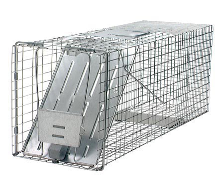 W75 1079 10 in. W x 32 in. L x 12 in. H One Door Groundhog Animal Trap