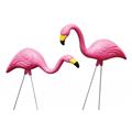 Bloem 10 Pack Pink Flamingo G21 Bloem 10 Pack Pink Flamingo G21