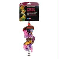 Picture of Prevue Pet Products Inc-Tropical Teasers Party Time- Multicolored Small-medium