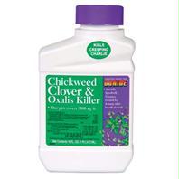 Picture of Bonide Products Inc P-Chickweed Clover Oxalis Killer Concentrate 1 Pint