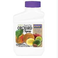 Picture of Bonide Products Inc P-Citrus Fruit&#44; Nut & Orchard Spray Concentrate 1 Pint