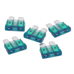 Picture of RoadPro RPATO30 30 Amp ATO Fuses
