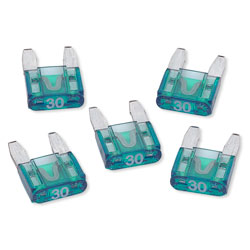 RPMINI30 30 Amp MINI Fuses