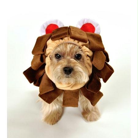 Picture of Anit Accessories AP1077-L Lion Dog Costume - Large
