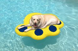 Picture of Paws Aboard 6200 Large Inflatable Raft