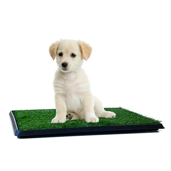 Picture of PAW Puppy Potty Trainer - The Indoor Restroom for Pets