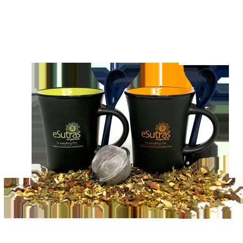 Picture of eSutras Organics 270504 Mug Set - Blue And Yellow