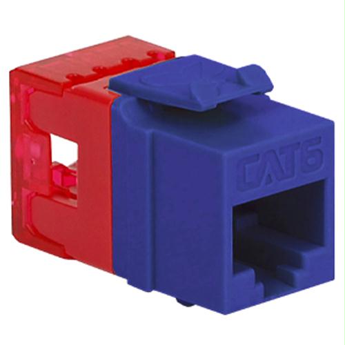 Module- Cat 6- Hd- Purple