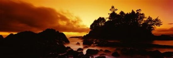 Picture of Panoramic Images PPI100423L Silhouette of rocks and trees at sunset  Tofino  Vancouver Island  British Columbia  Canada Poster Print by Panoramic Images - 36 x 12
