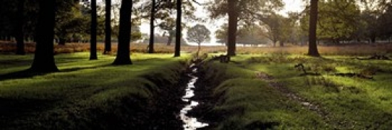 Picture of Panoramic Images PPI101739L Stream passing through a park  Richmond Park  London  England Poster Print by Panoramic Images - 36 x 12