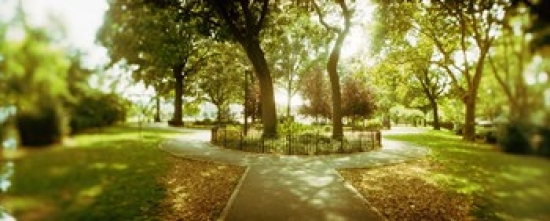 PANORAMIC IMAGES