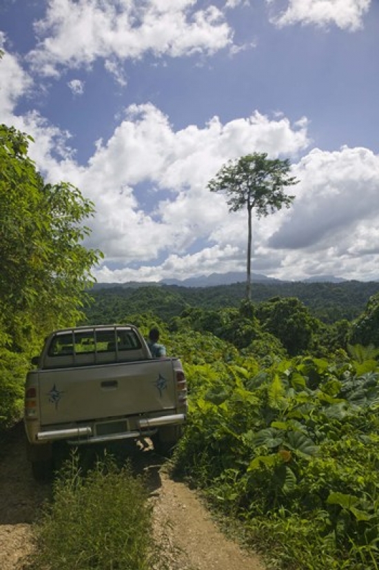 PANORAMIC IMAGES