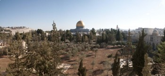 PANORAMIC IMAGES