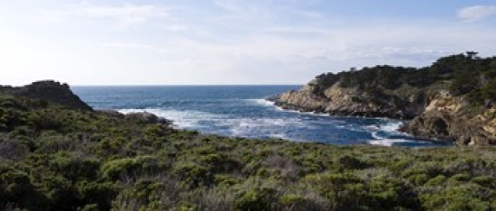 Coastline  Point Lobos State Reserve  Carmel  Monterey County  California  USA Poster Print by  - 36 x 12 -  RLM Distribution, HO218131