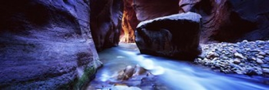 PPI144142L Virgin River at Zion National Park  Utah  USA Poster Print by  - 36 x 12 -  Panoramic Images