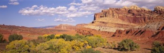 Orchards in front of sandstone cliffs Capitol Reef National Park Utah USA Poster Print by  - 36 x 12 -  RLM Distribution, HO2841899