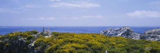 Sea gulls perching on rocks  Point Lobos State Reserve  Bird Island  California  USA Poster Print by  - 36 x 12 -  RLM Distribution, HO212821