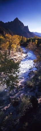 High angle view of a river flowing through a forest  Virgin River  Zion National Park  Utah  USA Poster Print by  - 12 x 36 -  RLM Distribution, HO216678