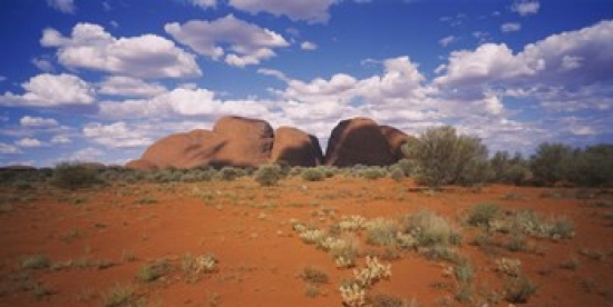 PANORAMIC IMAGES