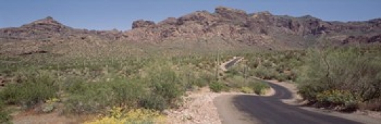 PANORAMIC IMAGES