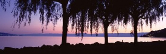 PANORAMIC IMAGES