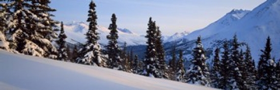 PANORAMIC IMAGES