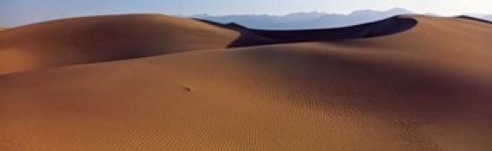 PANORAMIC IMAGES