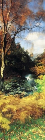 PANORAMIC IMAGES