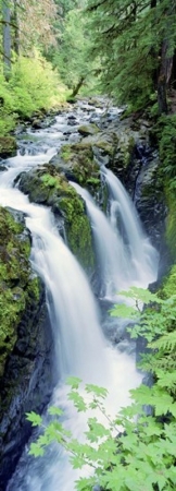 PANORAMIC IMAGES