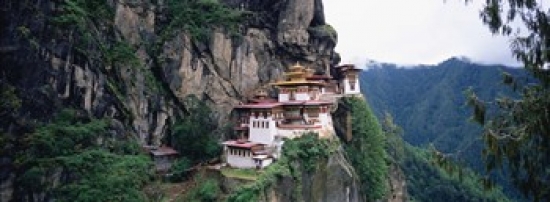 PANORAMIC IMAGES