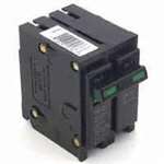 Br Series 2-Pole Breaker 60A BR260