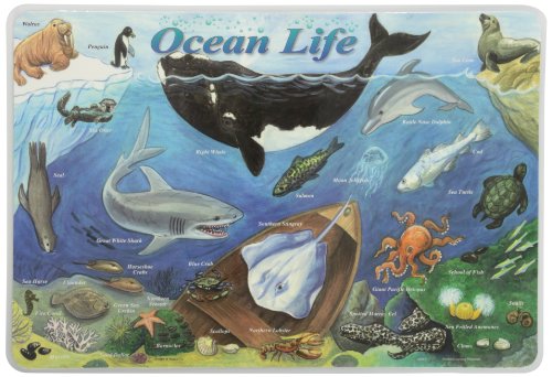 Picture of M. Ruskin OCN-1 OCEAN LIFE PLACEMAT - PACK OF 6