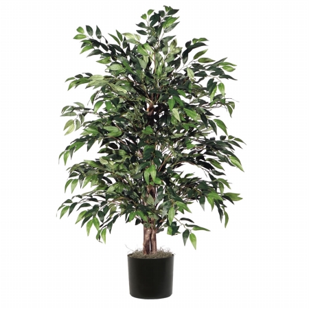 4' Green Smilax Bush