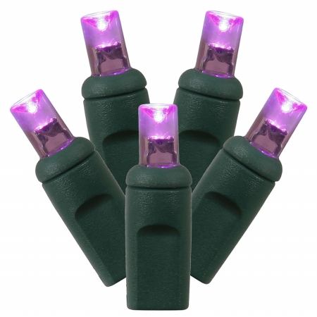 100Lt LED Purple/GW WA Ec Set  34'L