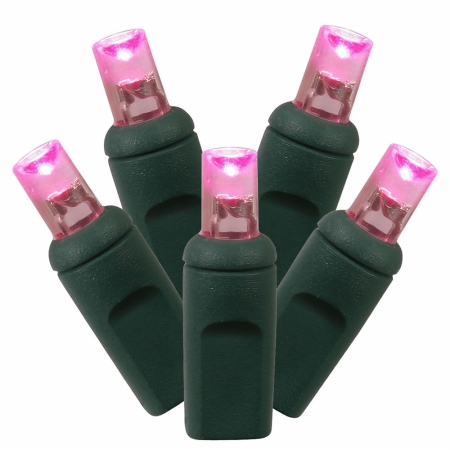 100Lt LED Pink/GW WA Ec Set  34'L