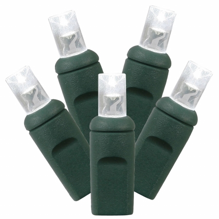 50Lt LED Pure/GW WA Ec Set 1Pc 6''x25'L