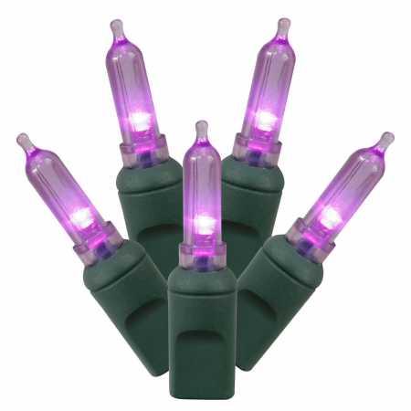 50Lt LED Purple/GW Italian Ec  6''x25'