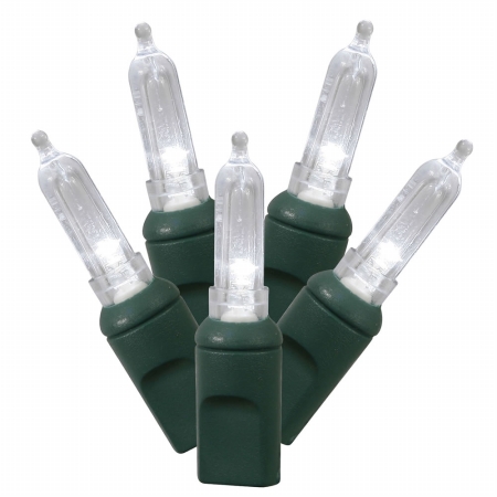 50Lt LED Pure/GW Italian Ec  6''x25'L