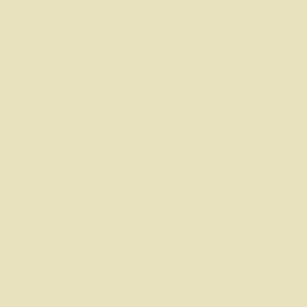 03-329-12 9 in. X 12 in. Champagne Adhesive Magic Cover Liner