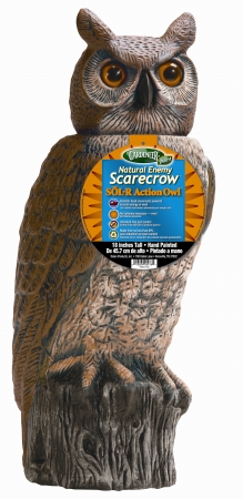 Picture of Dalen Products SRHO-4 Sol-R Action Owl